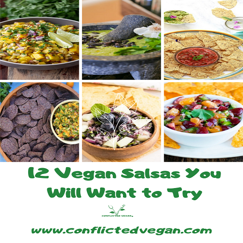 12 Vegan Salsas You Will Want to Try